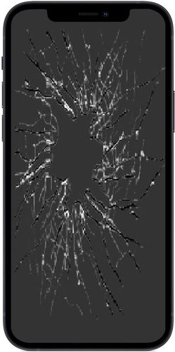 iPhone 12 Pro Max Reparatur